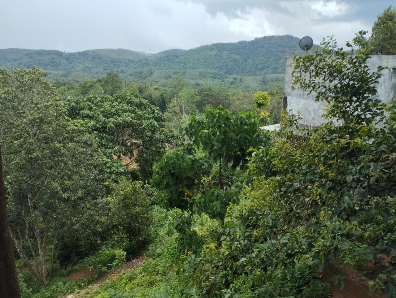קגאלה Bogala Village Eco Resort מראה חיצוני תמונה