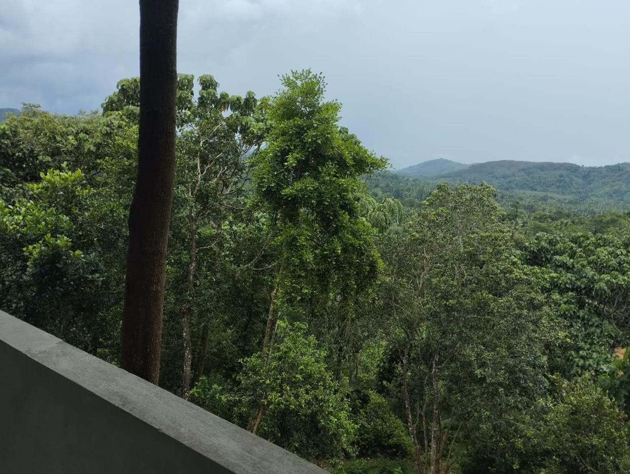 קגאלה Bogala Village Eco Resort מראה חיצוני תמונה
